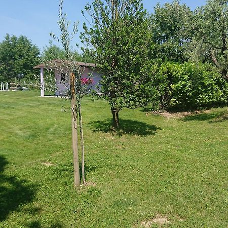 Il Carpino Bianco Bilocale Lejlighed Puegnago Værelse billede